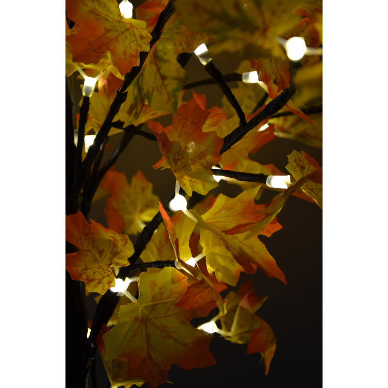 Arbre lumineux pour érable pré-éclairé