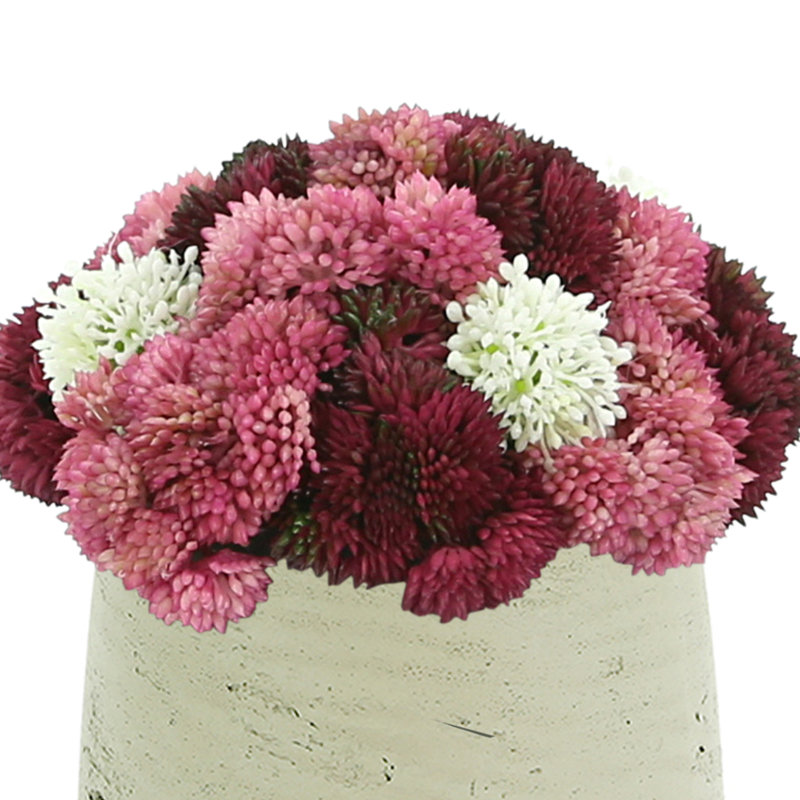 Assorted Sedum in Fiberstone Pot