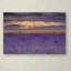 « lavandest », reproduction de photo sur toile tendue-31105859