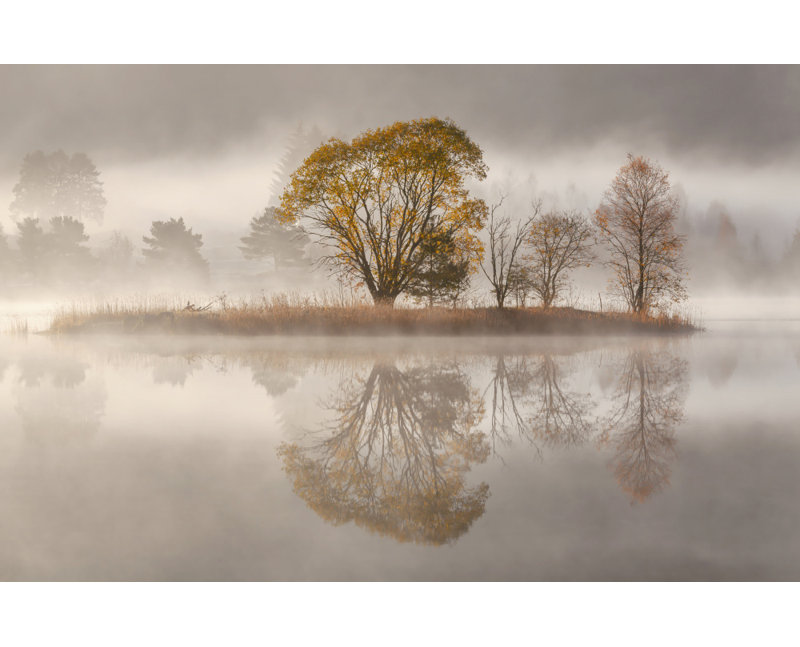 Wrapped Canvas Print, 50.8 cm H x 76.2 cm W
