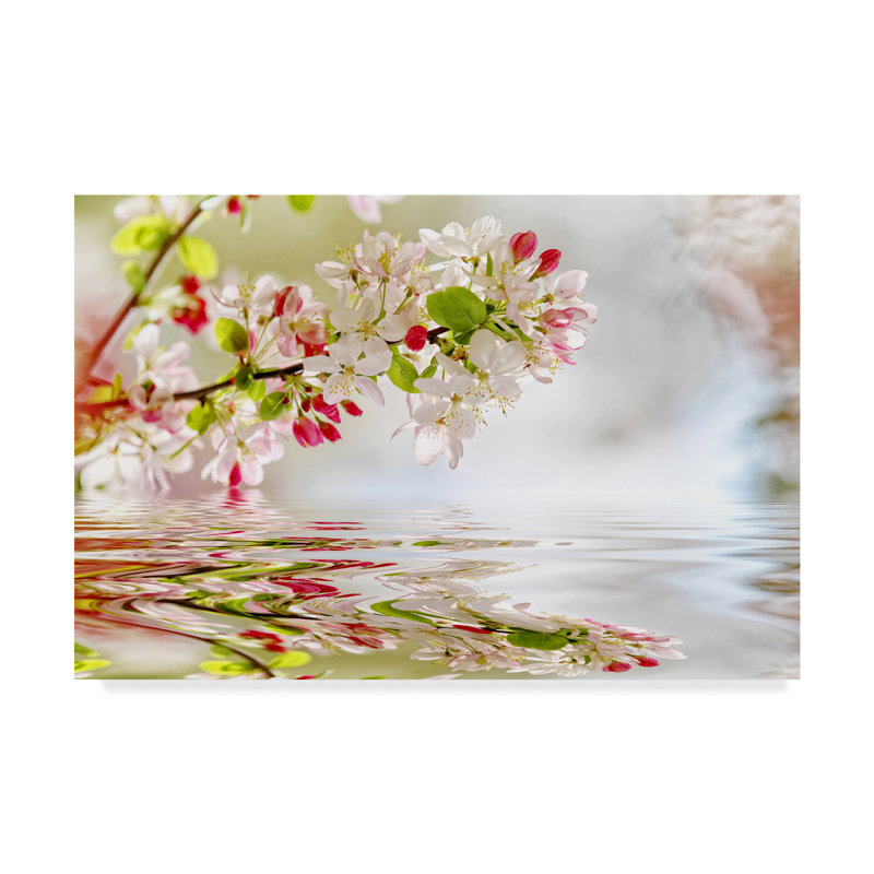 « spring réflexions », reproduction de photo sur toile tendue, H 12 po x l 19 po x P 2 po