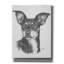 Winston Porter «Chiweenie» par Barbara Keith, art mural sur toile, 12 po x 16 po