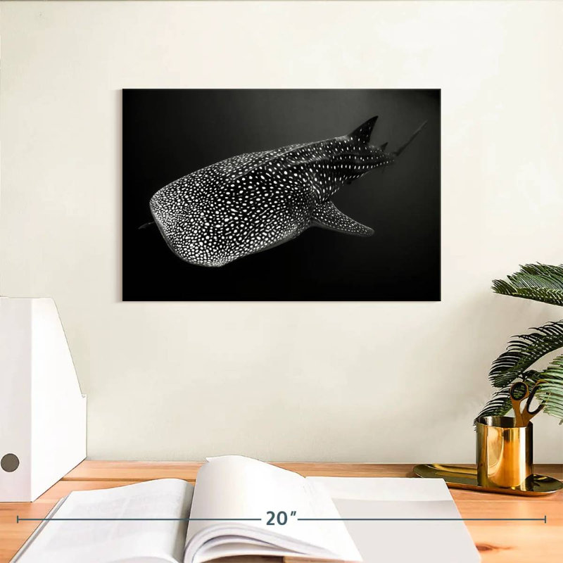 Monochrome Spotted Whale Shark, 8" H x 12" W