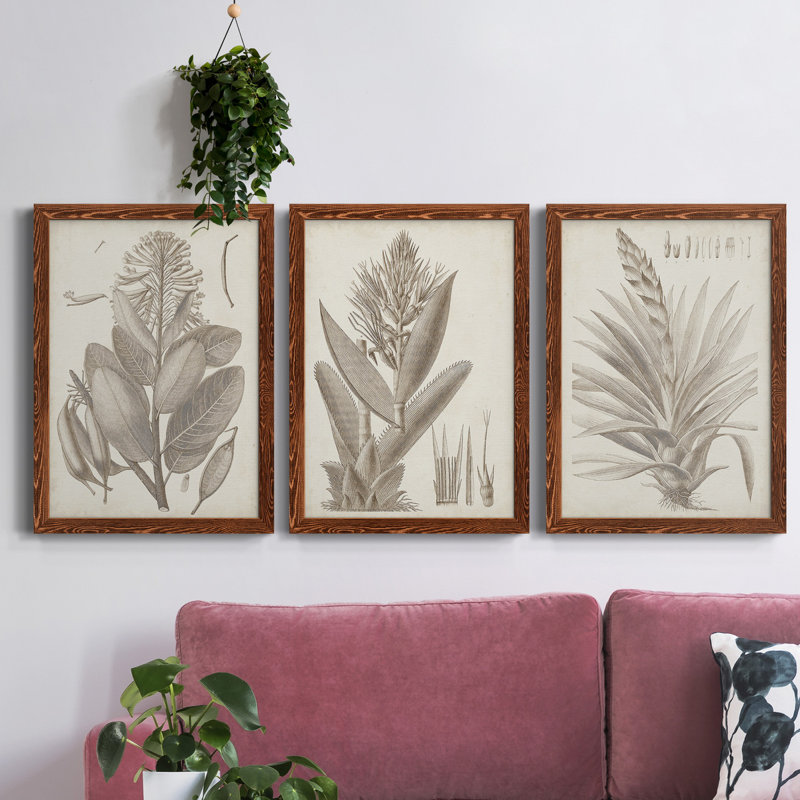«Sepia Exotic Plants I», ensemble de 3 peintures sur toile encadrées, Érable, H 43,5 po x l 31,5 po x P 1 po