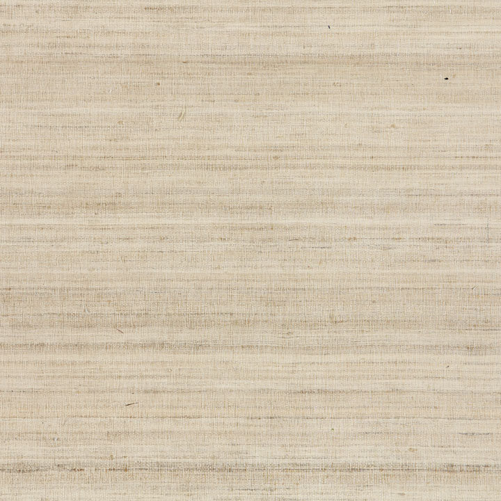 Natural Textures Wallpaper Roll, Sand