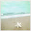 Sharon Kalstek - Single Picture Frame Print-20661792