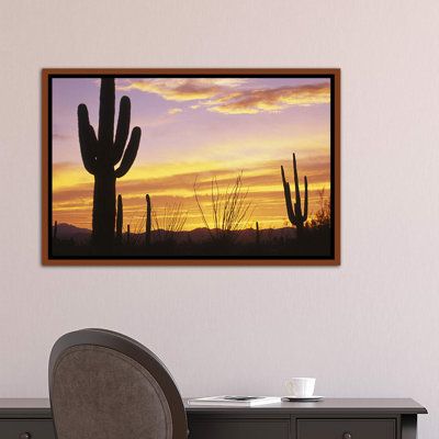 Coucher de soleil, parc national de Cactus Saguaro, AZ - reproduction de photo