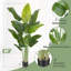 Aneekha 200cm Faux Plant