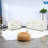 Spacious Chenille Sofas, Modern Design For Home & Office