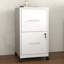 Classeur verrouillable 2 tiroirs Abheek-1015282304