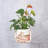 Advika Handmade Hanging Planter