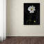 « white cosmos on black », reproduction de photo sur toile tendue-18235080