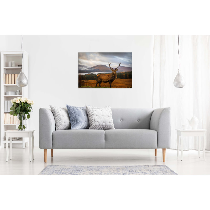 Deer On Highlands Wildlife - Wrapped Canvas Print, 20cm H x 31cm W