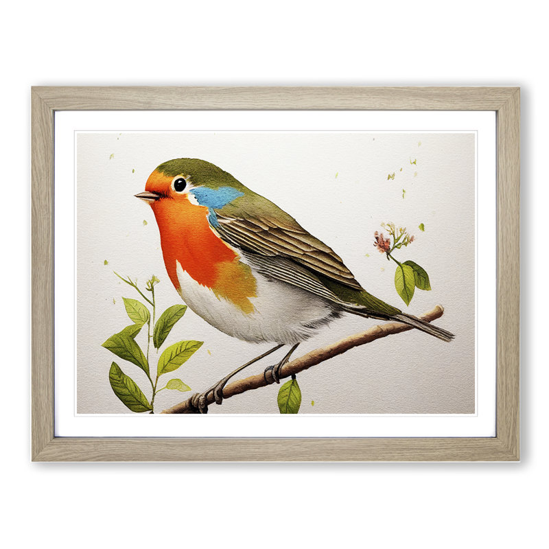 Exceptional Robin Bird - Single Picture Frame Print, 46cm H x 64cm W x 2cm D, Oak