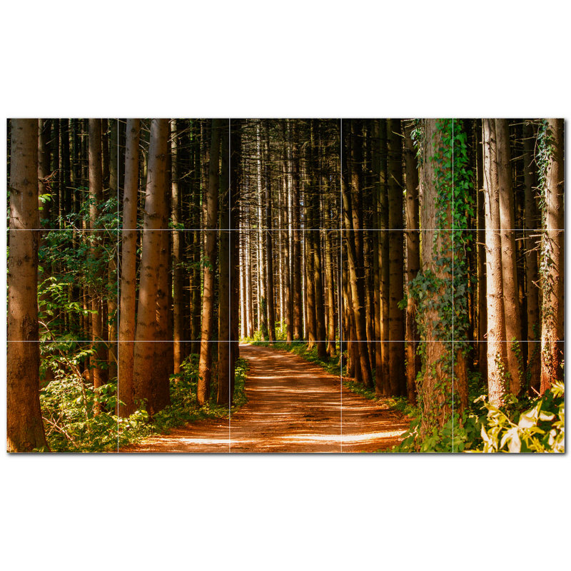 Photo d'arbres 8 x 8