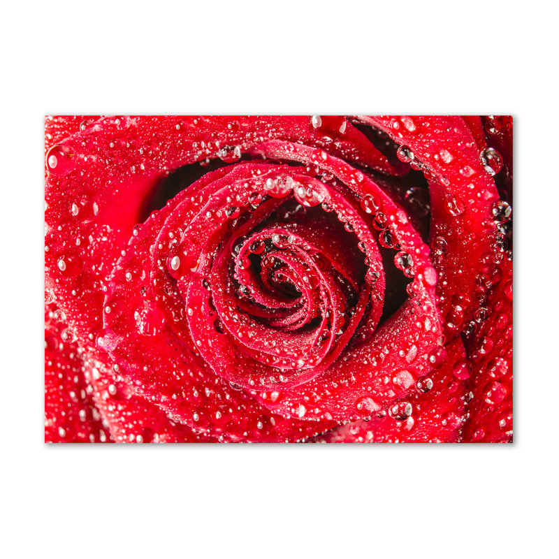 Water Drops On A Rose - Wrapped Canvas Print