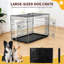 Dog House