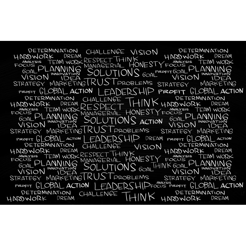 Business Management Cloud Words by Airdone - Wrapped Canvas Print, 30cm H x 46cm W x 3.8cm D