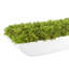 Moss 6" Artificial in Fiberstone Planter-1306162797-1306519054