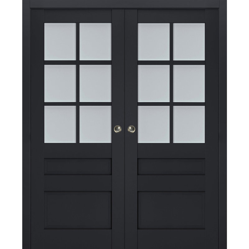 Portes de placard Veregio, 79,5 po x 17 po, Antracite