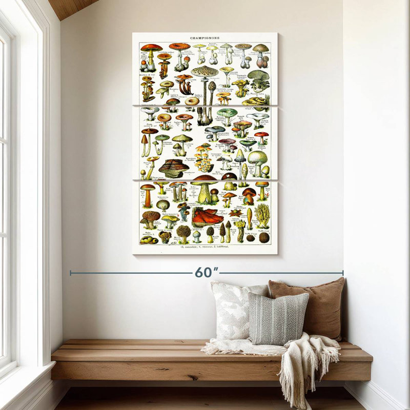 Yarlin Mushroom Varieties, 50" H x 32" W
