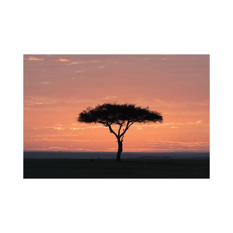 Africa, Kenya, Amboseli National Park. Sunrise Backlights Umbrella Thorn Acacia Tree by Jaynes Gallery - Wrapped Canvas Print