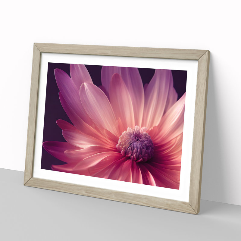 Cute Chrysanthemum Flower Vol.4 - Single Picture Frame Print, Oak, 46cm H x 64cm W x 2cm D
