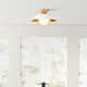 Briceson Single Light Glass Flush Mount