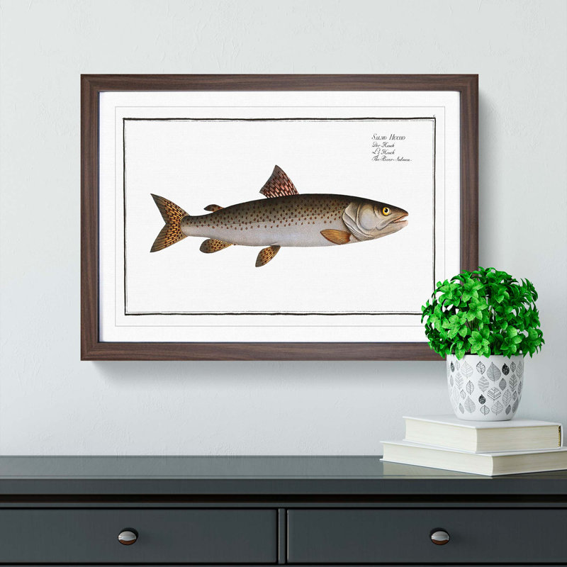 River-Salmon Fish by M.E. Bloch - Picture Frame Painting Print, Walnut Framed, 27cm H x 36cm W x 2cm D