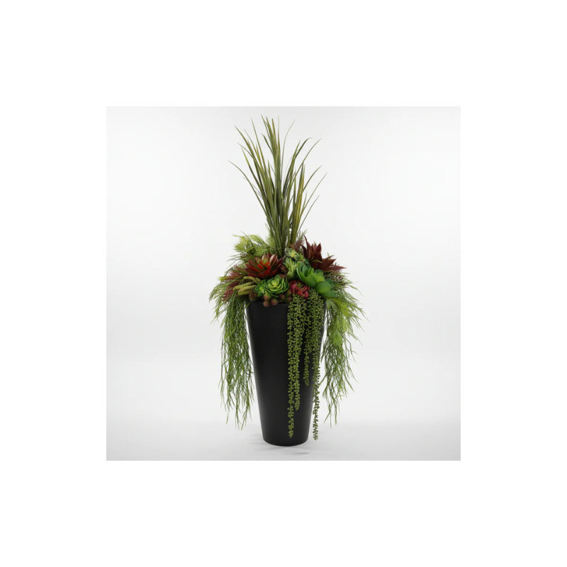 Pots de fleurs rouges succulents