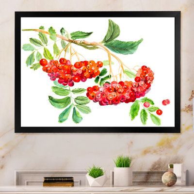 " Red Viburnum Opulus Leave "
