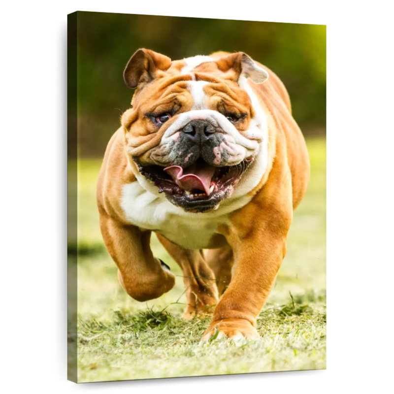 Brampt Running Dog, 30" H x 20" W