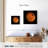 Oberle Venus Close Up-109205430