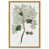 Gold Floater Framed