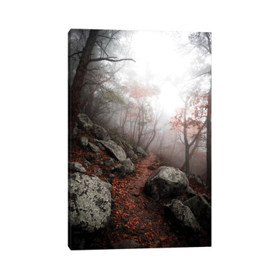 Moody Forest by Lucas Moore - Wrapped Canvas Print