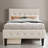 Twin Size Upholstered Platform Bed Frame with 2 Drawers-1887467427