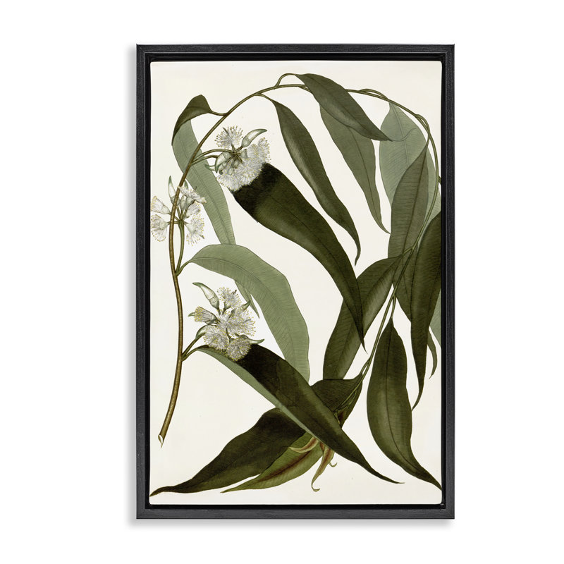 Fleur courbée aux herbes sauvages, Cadre flottant noir de jais, H 25 po x l 17 po