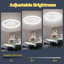 Ventilateur de plafond avec télécommande, température de couleur à 3 DEL, moteur CA silencieux à 6 vitesses, réglage de la minuterie, luminosité réglable-1676127061