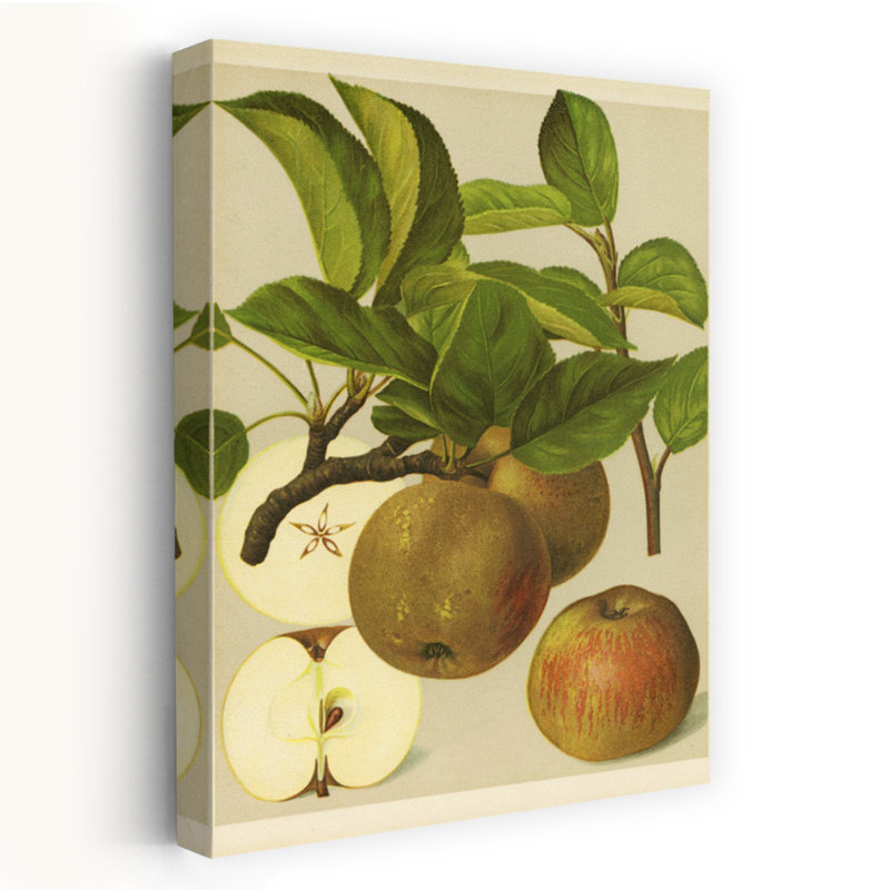 «Russet Apples I», art de paysage naturel rustique biologique rétro, H 36 po x l 24 po