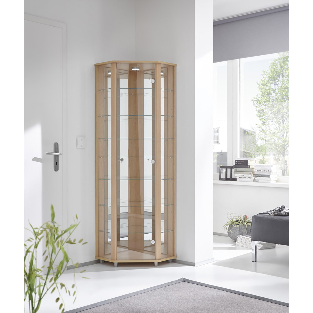 Frankmut Corner Curio Cabinet with Lighting