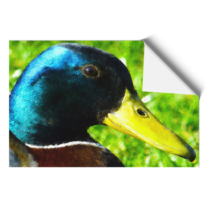 Mallard Duck Painting - Frameless Print, 42cm H x 59cm W x 0.1cm D