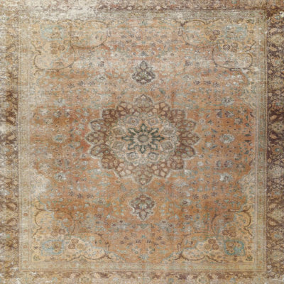 Oriental Indoor Rug