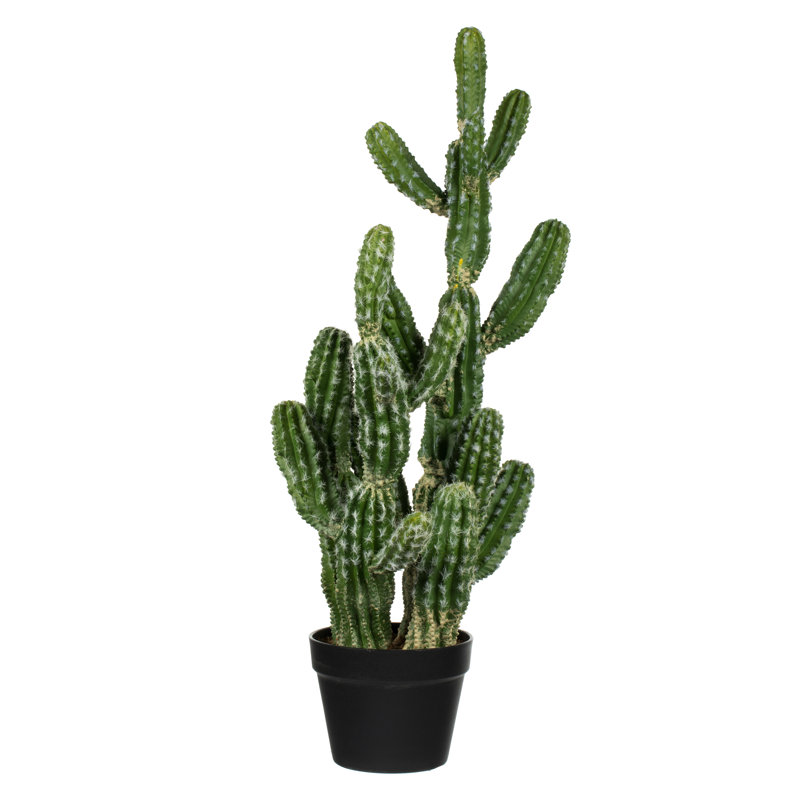 Cactus vert en pot 31 po
