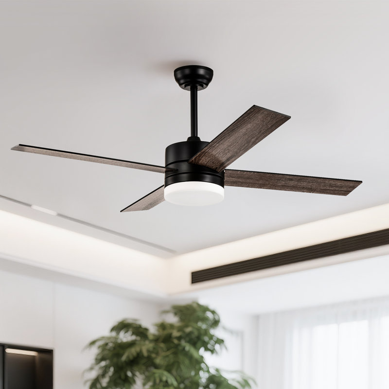 Avamaria 52'' Ceiling Fan with LED Lights, Black