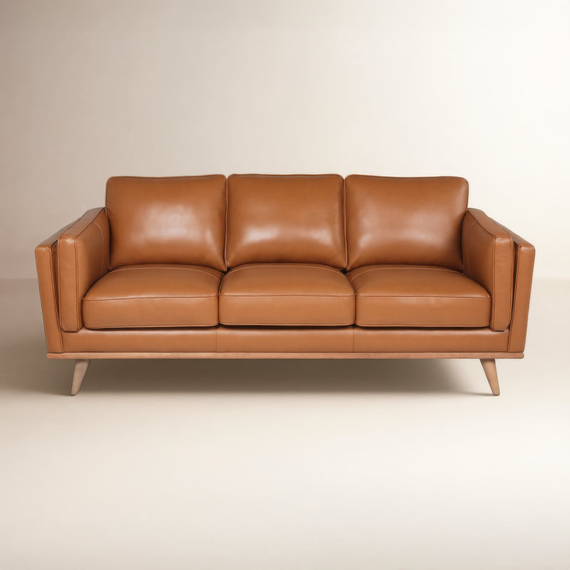 Gabon Mid Century Modern Leather Sofa