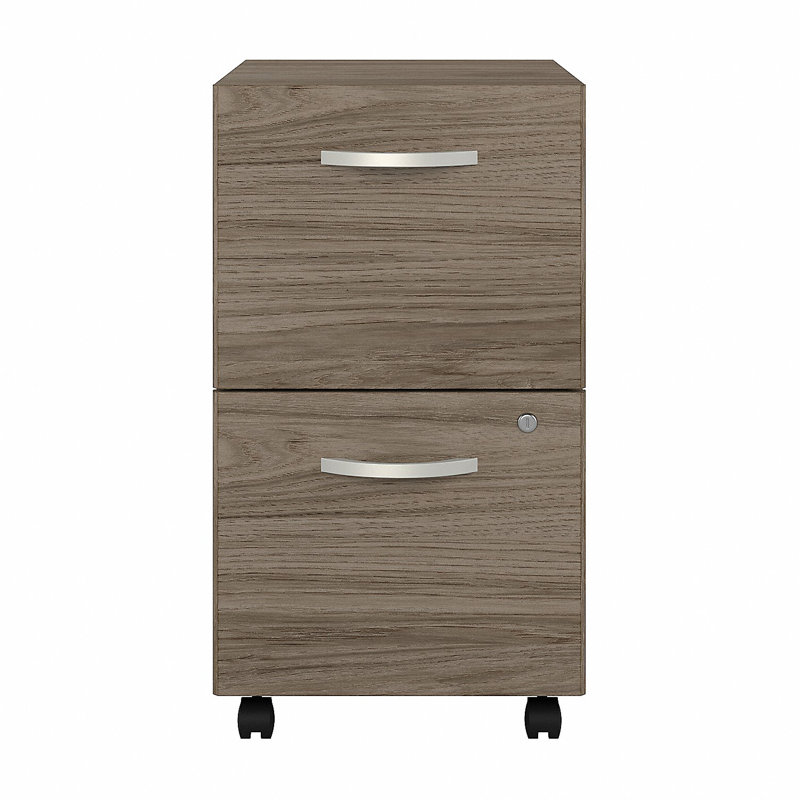 Studio C 16'' Wide 2 -Drawer Mobile File Cabinet, Modern Hickory