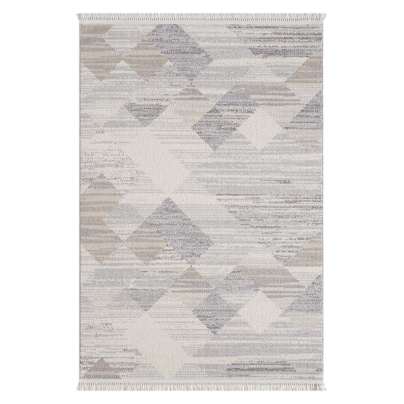 Rishu Machine Made Indoor / Outdoor Area Rug, Rectangle 200 x 290cm