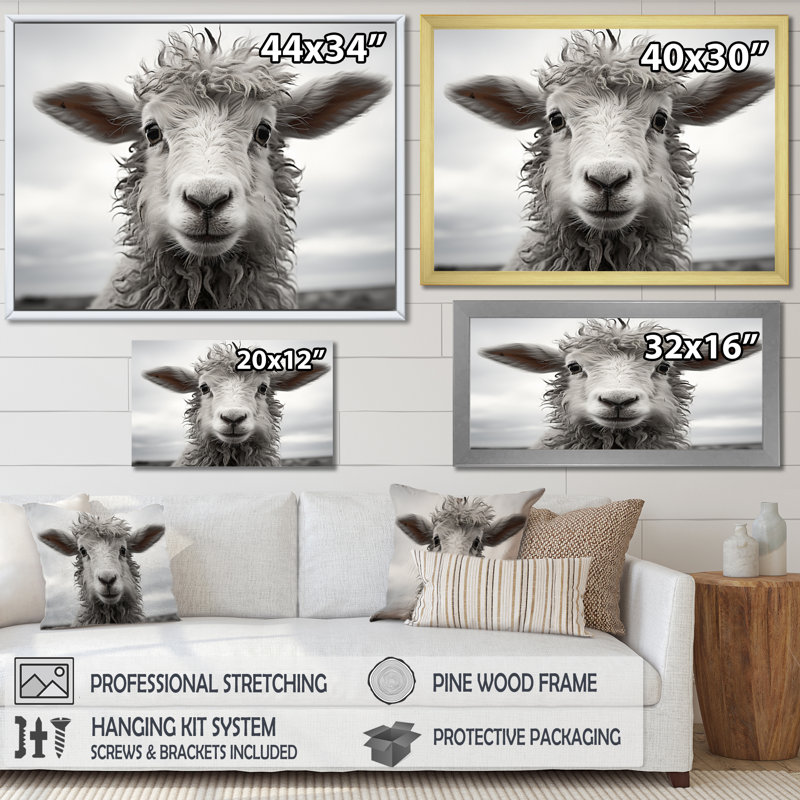 Mouton sérénité - animaux, art mural, salon, Cadre simple noir, H 24 po x l 32 po x P 1 po
