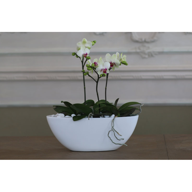 Handmade Pot Planter, Gray, 39" H x 13.75" W x 13.75" D
