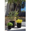 Mason Series Pot Planter-98538402